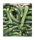 Calabací­n ecológico | Eiras de Ares