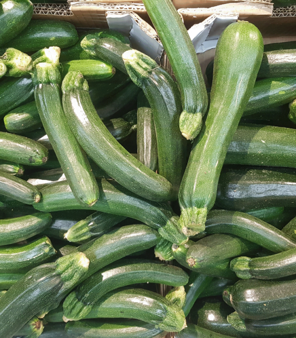 Calabací­n ecológico | Eiras de Ares