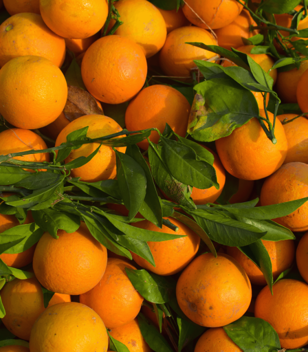 Valores nutricionales y beneficios de las naranjas, limones y mandarinas